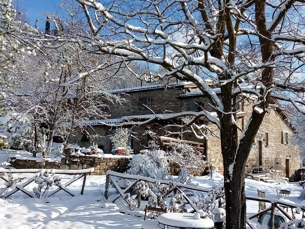 Agriturismo Montesalce กุบบีโอ ภายนอก รูปภาพ