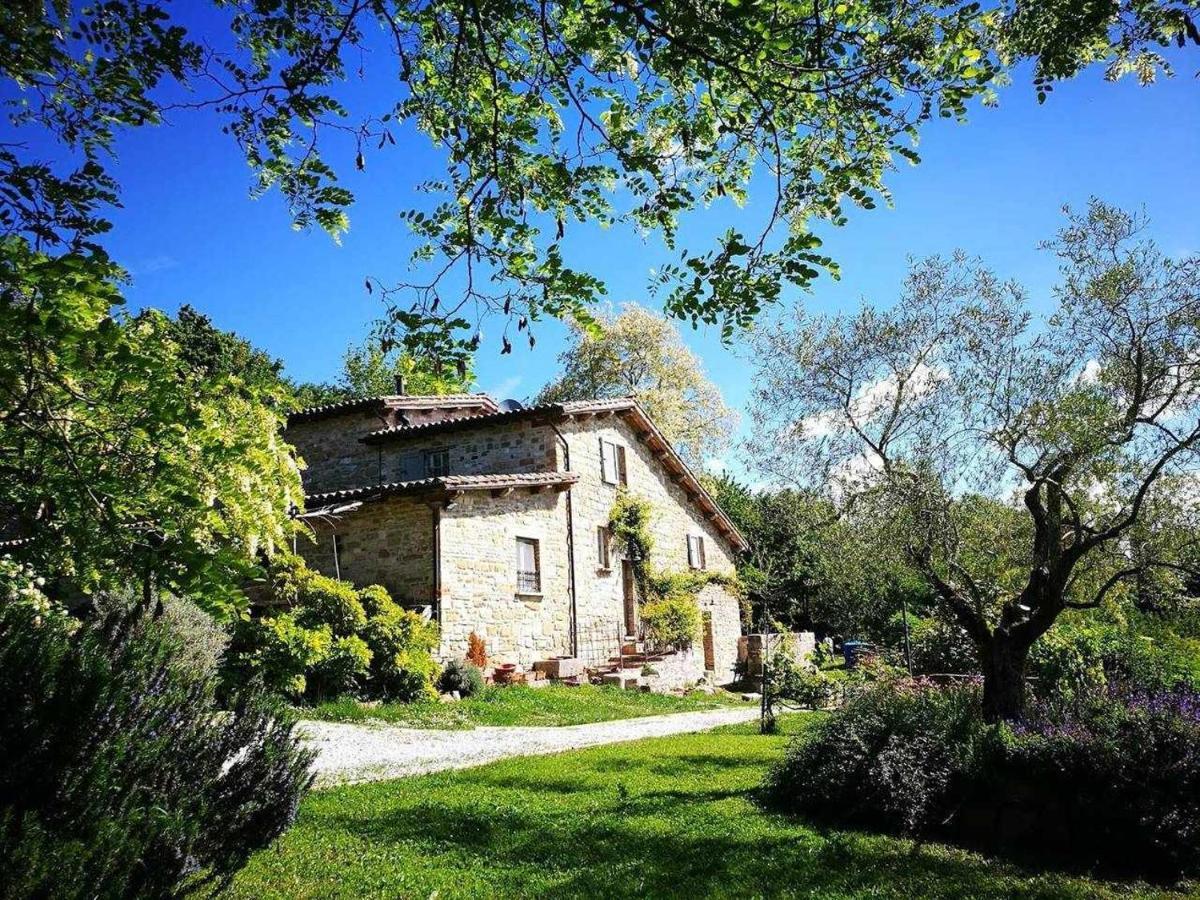Agriturismo Montesalce กุบบีโอ ภายนอก รูปภาพ
