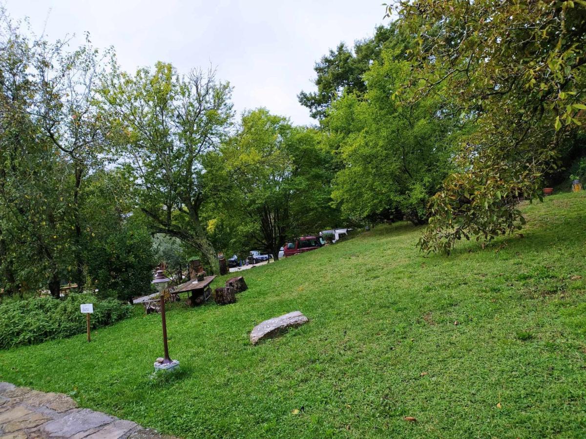 Agriturismo Montesalce กุบบีโอ ภายนอก รูปภาพ