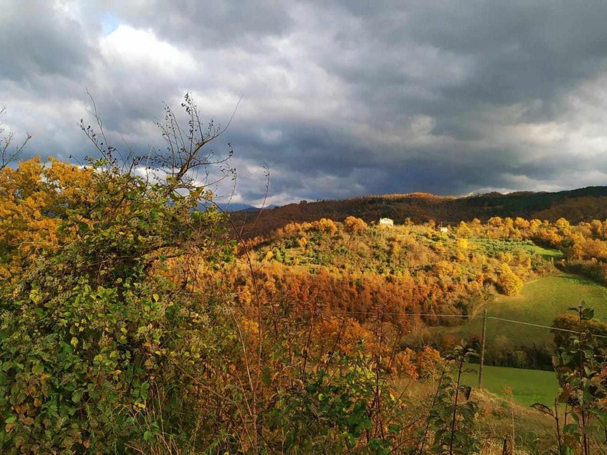 Agriturismo Montesalce กุบบีโอ ภายนอก รูปภาพ