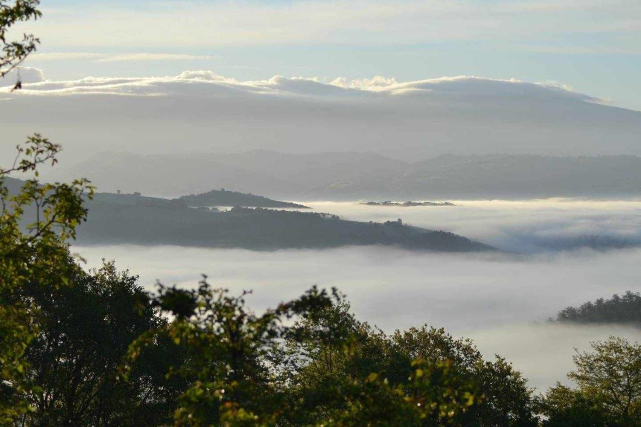 Agriturismo Montesalce กุบบีโอ ภายนอก รูปภาพ