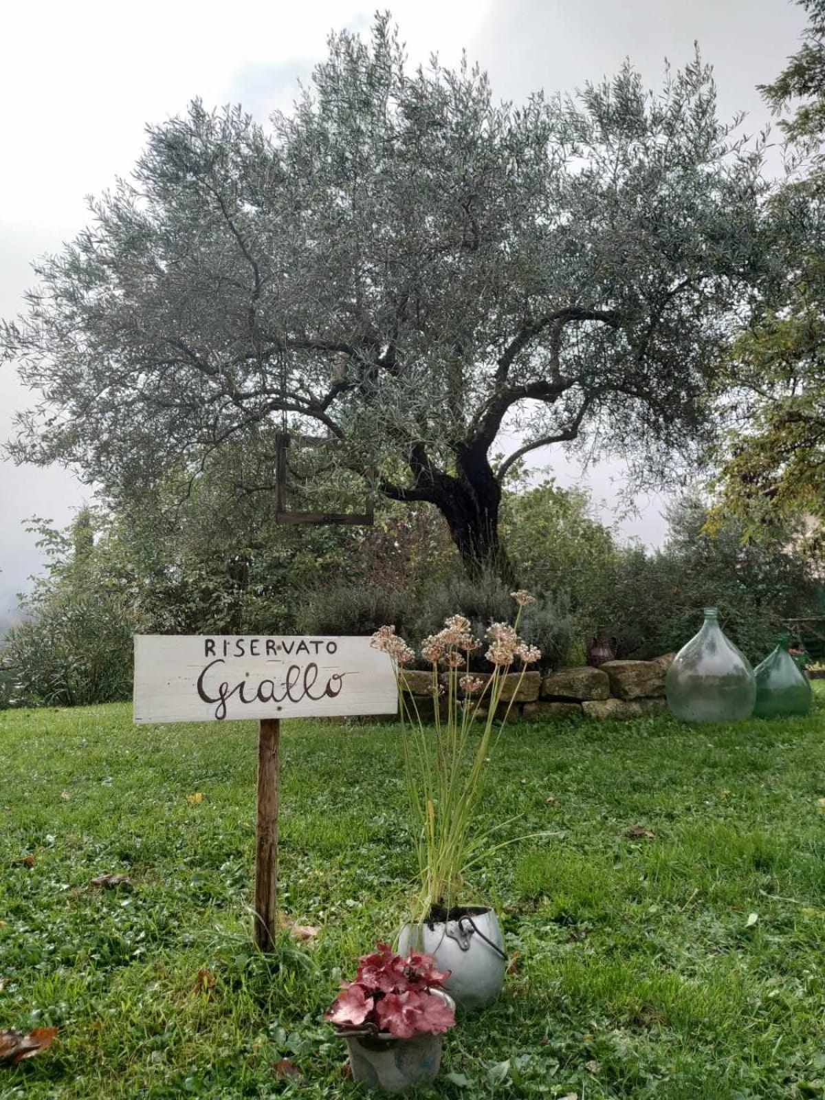 Agriturismo Montesalce กุบบีโอ ภายนอก รูปภาพ